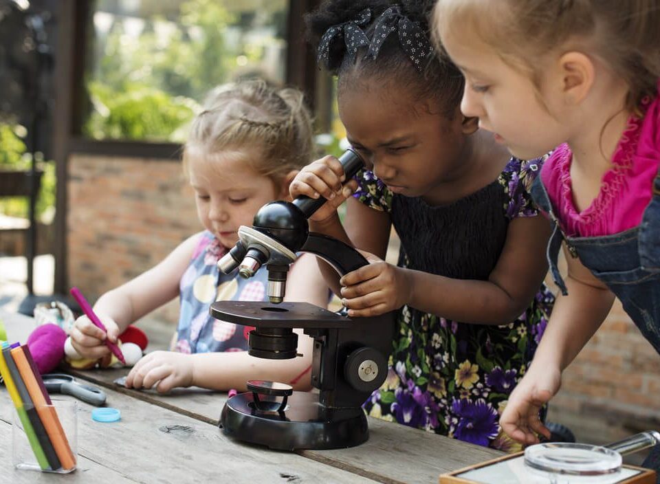 The Benefits of Playful Learning